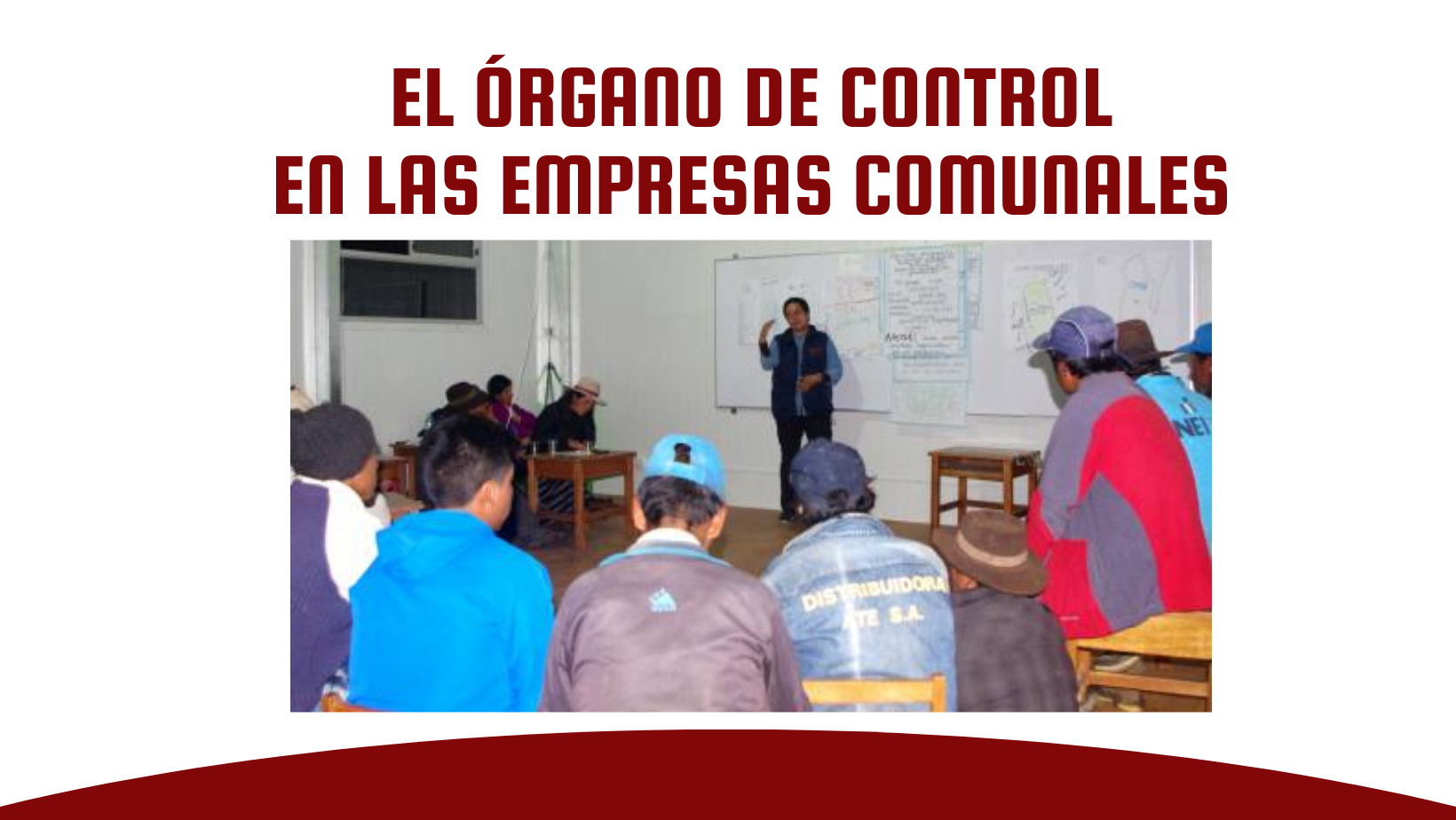 EL ÓRGANO DE CONTROL EN LAS EMPRESAS COMUNALES